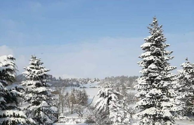 Bungalow With Terrace in Harz Mountains - Foto 15