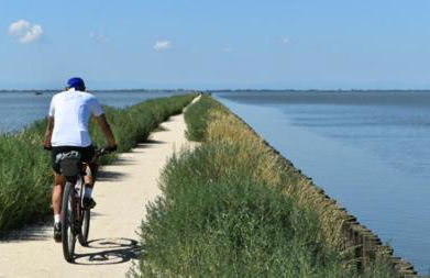 Delphina House - Foto 33