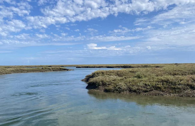 Paseo en barca ecológica por la Ría Formosa - Foto 14