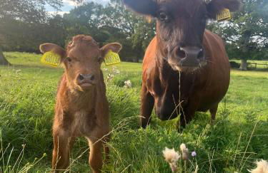 Well-equipped Apartment at Westerlands Farm - Foto 55