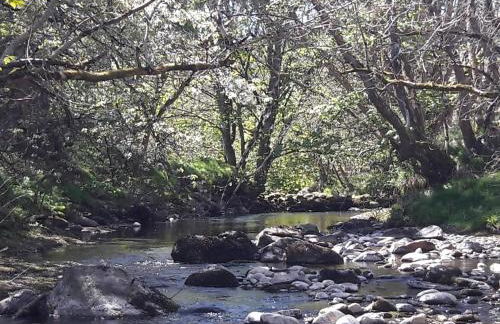 Highland River Cottage with Hot Tub - Foto 20