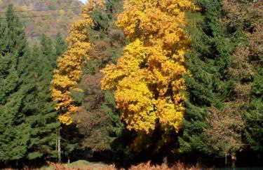 Chalet de Grettery - Foto 17