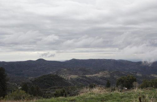 Hummingbird Hill - Entire Cabin - Foto 42