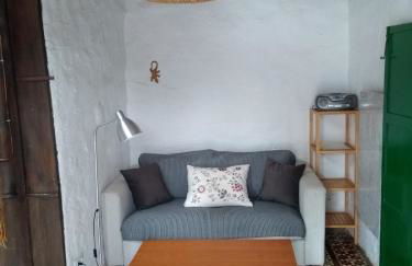 Finca Primavera - Foto 15