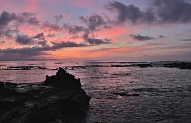 Walkerbay Accommodation - Foto 53