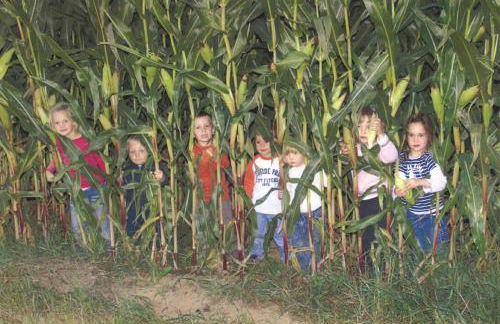 Ferienhof Schlag - Foto 9