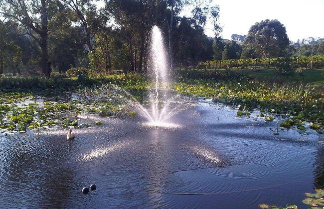 Wild Cattle Creek Estate - Foto 47