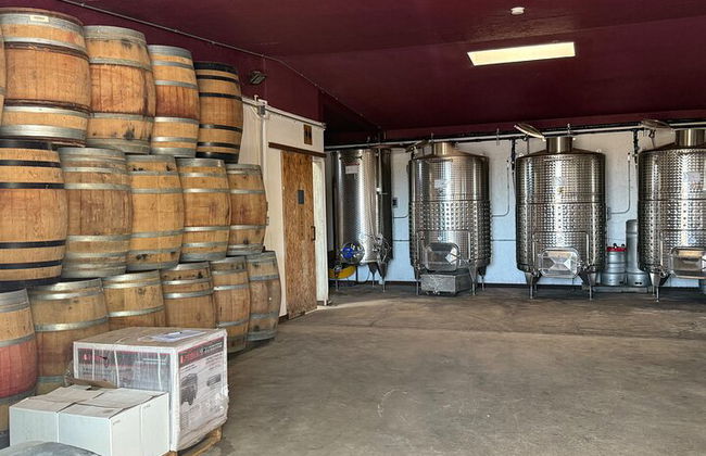 Private Deluxe Wine Tour to Valle de Guadalupe by Luxury Vehicle - Photo 47