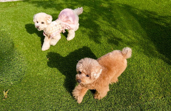 Rakuten STAY VILLA Yatsugatake - Foto 59