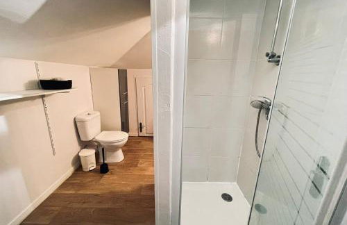 Duplex in the heart of Toulouse - Photo 9