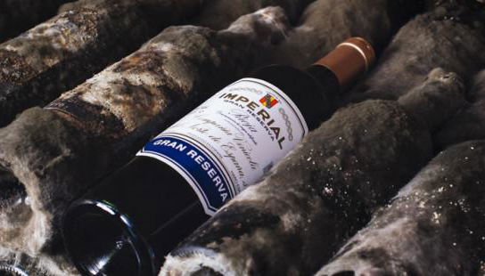 Bodega CVNE (La Rioja) - Photo 5