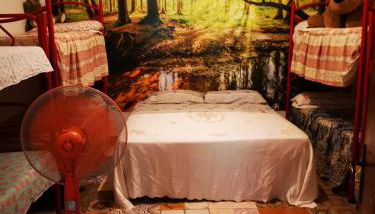 Pinnettu sardo casa di campagna in ecosistema insetti e animaletti simpatici in condivisione,Leggere attentamente Prima di prenotare - Foto 3