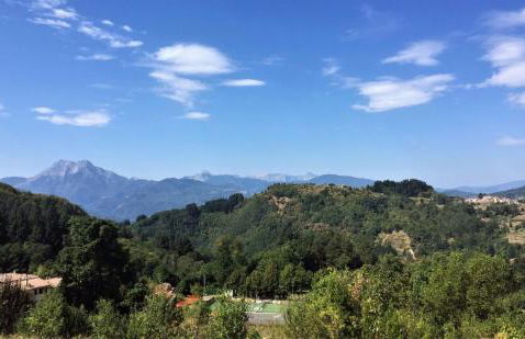 Villa Pavone - Foto 44