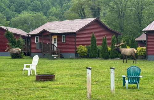 Train Rides, Trails and Casino Fun is Your Smoky Hub - Foto 42