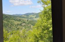 Sant'Andrea - Monticello Apartments - Photo 12