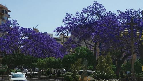 Encantador bajo en Málaga - Photo 3