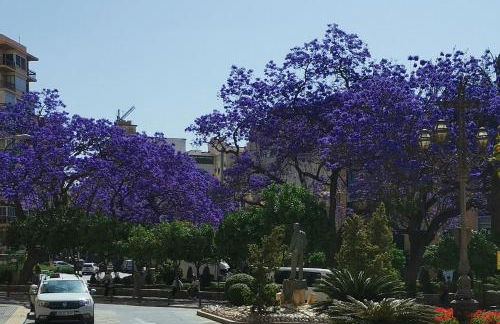 Encantador bajo en Málaga - Photo 3