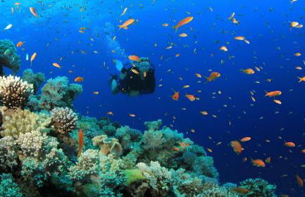 Villetta Conteamare - Foto 79