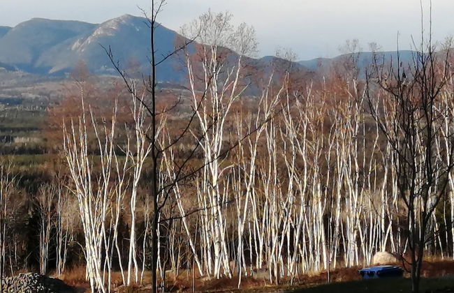 Les Trois Mentors Ghandi, Mandela, Luther King - Foto 15