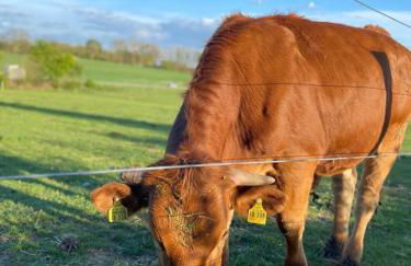 Ferienwohnung zur Bugspitze - Foto 32