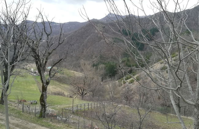 Agriturismo Antico Frutto - Foto 75