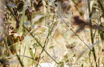 Kaszubski Dom Podcieniowy Bohema - Foto 16