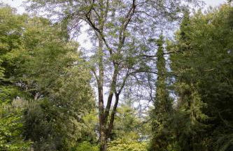 Mon havre de paix, Villa Campagne Charentaise - Foto 41