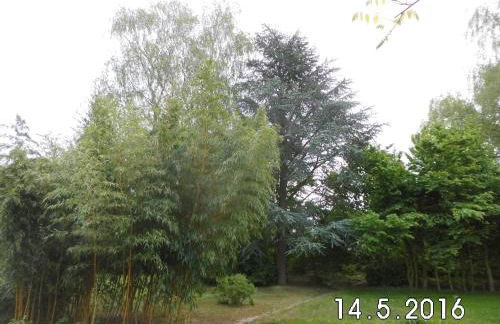 Linnemanns Gaestehaus - Foto 41