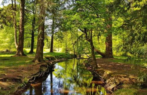 Lily s Pad - Private retreat in Lymington, New Forest - Foto 56