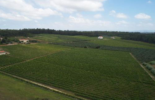 Quinta da Fogueira - Foto 12