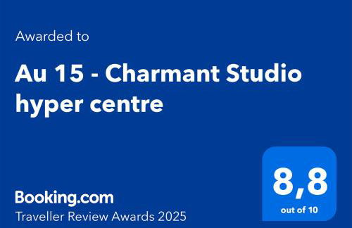 Au 15 - Charmant Studio hyper centre - Foto 12