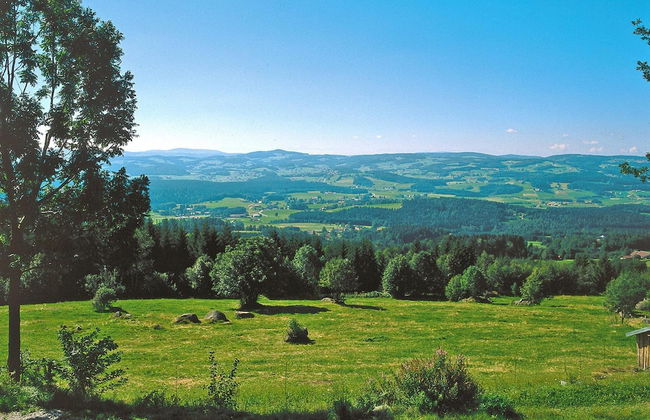 Holiday Home in Neureichenau Near Bavarian Forest - Foto 34