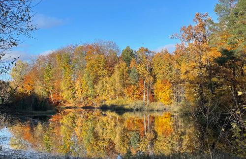 Domki Smokowo - Foto 5