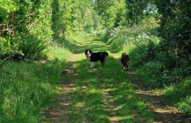 Ferienwohnung Thomée - Foto 23