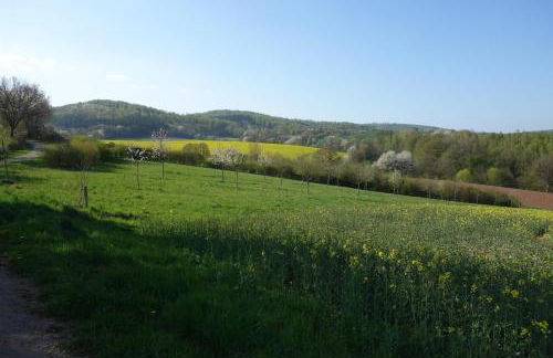 Ferienwohnung Solling Niedersachsen - Photo 57