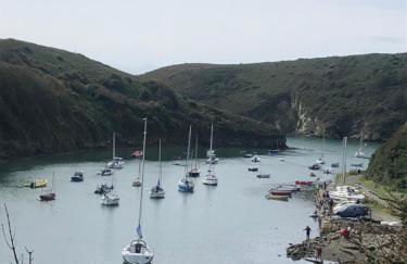 Tremanhire Cottage - Photo 9