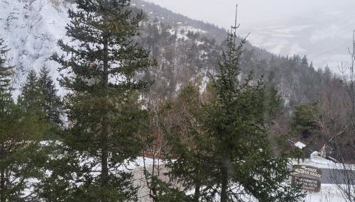 chalet LES GRANDES TERRES - Foto 5