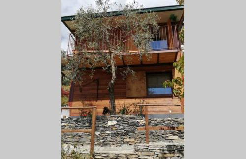 La Casetta di Molly tra ulivi e roseto - Foto 4