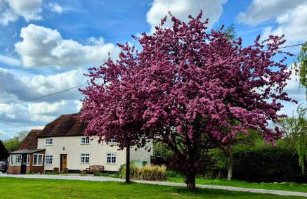 Secluded 16th Century Farmhouse with private grounds - Foto 3