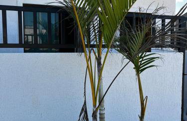 Meu Loft Barra Nova 4 - Foto 2