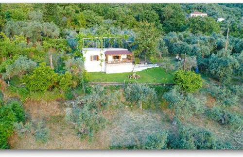 Olivia's Guest House - Foto 7