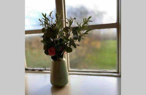 Upper Heath Farm - Stable Cottage Ludlow - Foto 31