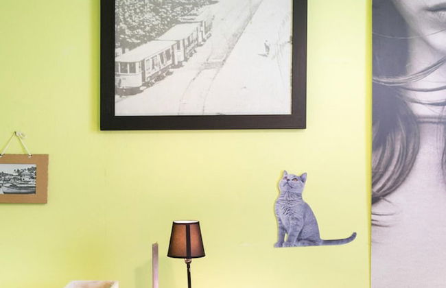 La Casa Matta in Viareggio - Photo 14