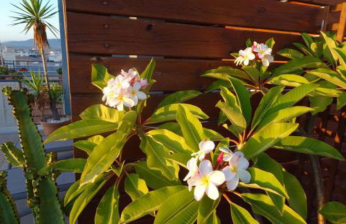 Lankarifa Apartment - Photo 39