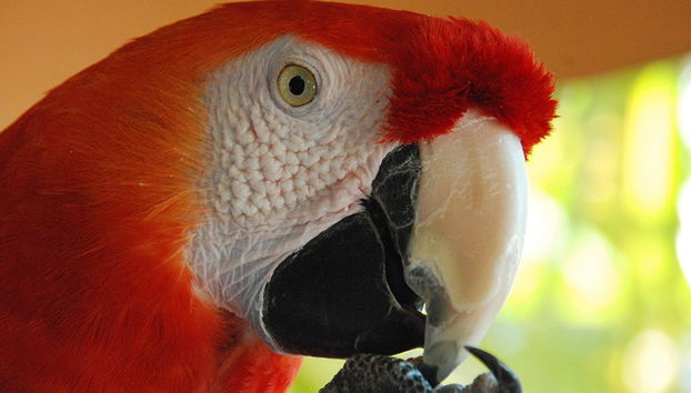 Pase todo incluido Go City - Miami - Acceso a más de 30 atracciones - Foto 3