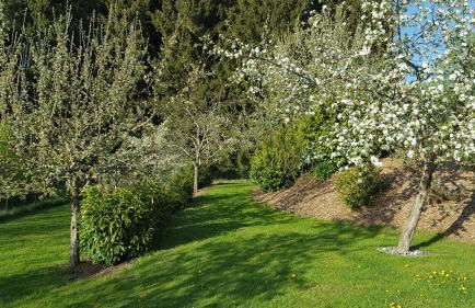 Ferienwohnung am Waldrand - Foto 17