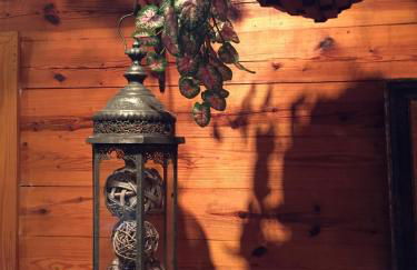 Cherokee mountain log cabin resort - Foto 118