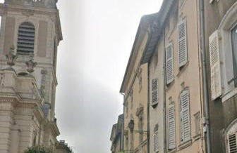 New jungle studio cœur de ville - Foto 2