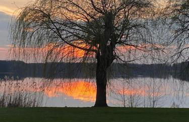 Ferien am Großen Wünsdorfer See - Foto 21