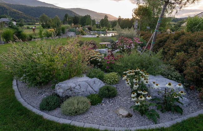 Cottage Happiness With Sauna and Natural Pool - Foto 27